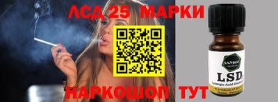 ешки Новодвинск