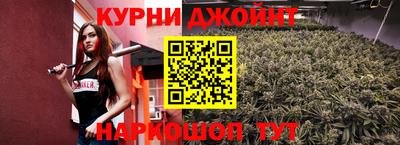 шишки Новокубанск