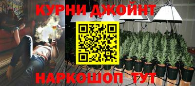 ешки Новодвинск