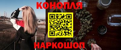 шишки Новокубанск
