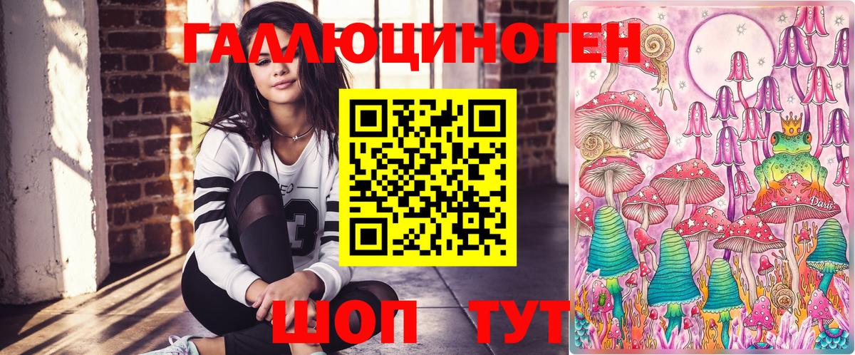 Псилоцибиновые грибы Psilocybe  Вход с VPN  Среднеуральск 